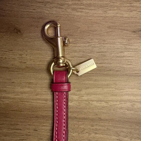 🩷🍒Coach sunglasses case in pink cherry print🍒🩷 - Picture 2 of 3